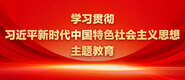 掰开双腿舔我的花蜜视频学习贯彻习近平新时代中国特色社会主义思想主题教育_fororder_ad-371X160(2)